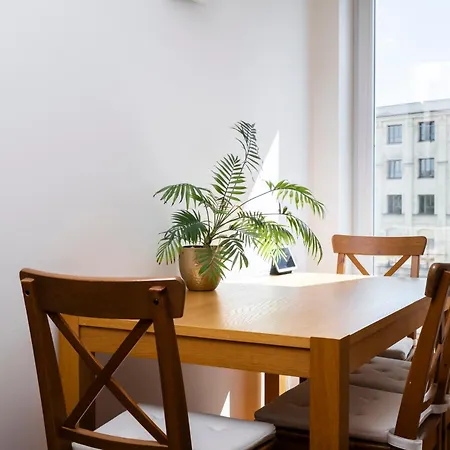 For Successful Businessman Apartment Prag